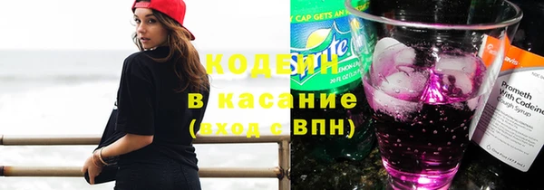 ПСИЛОЦИБИНОВЫЕ ГРИБЫ Алзамай
