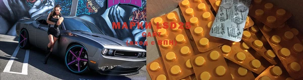 ГАЛЛЮЦИНОГЕННЫЕ ГРИБЫ Абаза