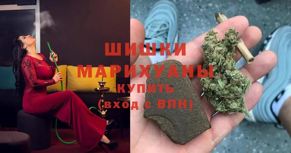 ГАЛЛЮЦИНОГЕННЫЕ ГРИБЫ Абаза