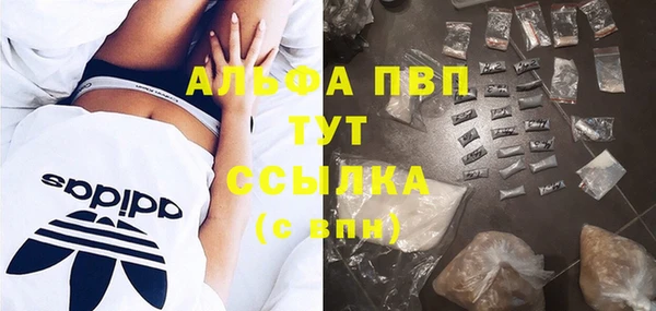 дмт Алексин